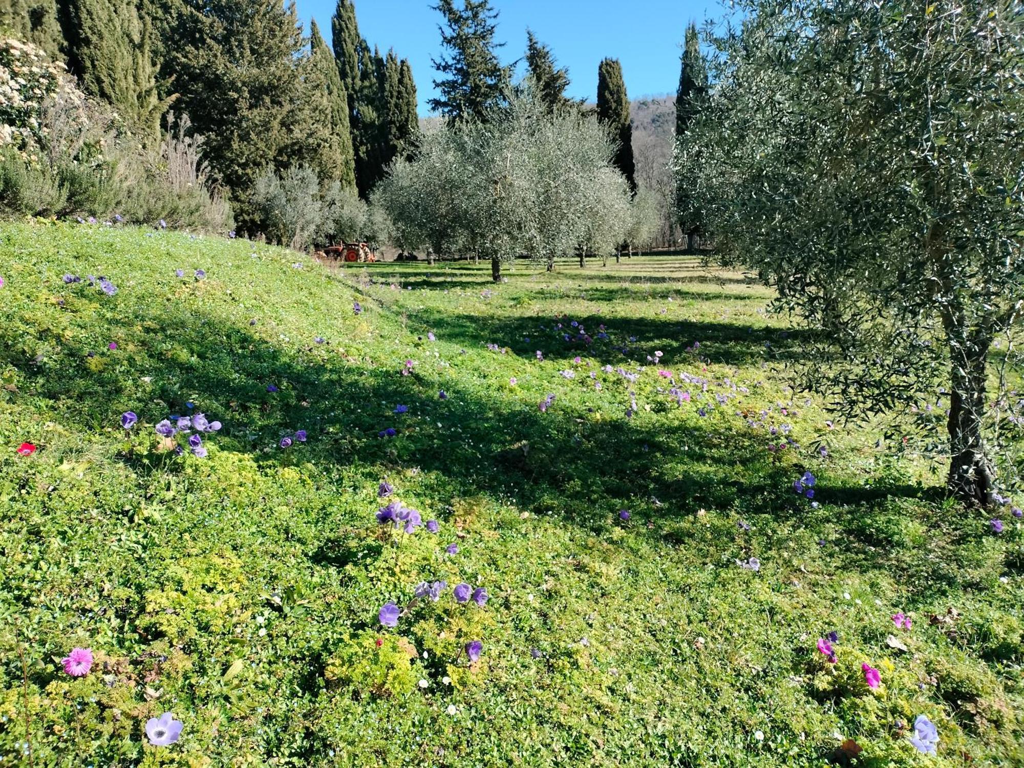 Agriturismo Natura E Salute 산지미냐노 외부 사진