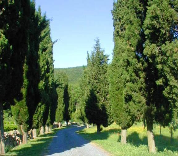 Agriturismo Natura E Salute 산지미냐노 외부 사진